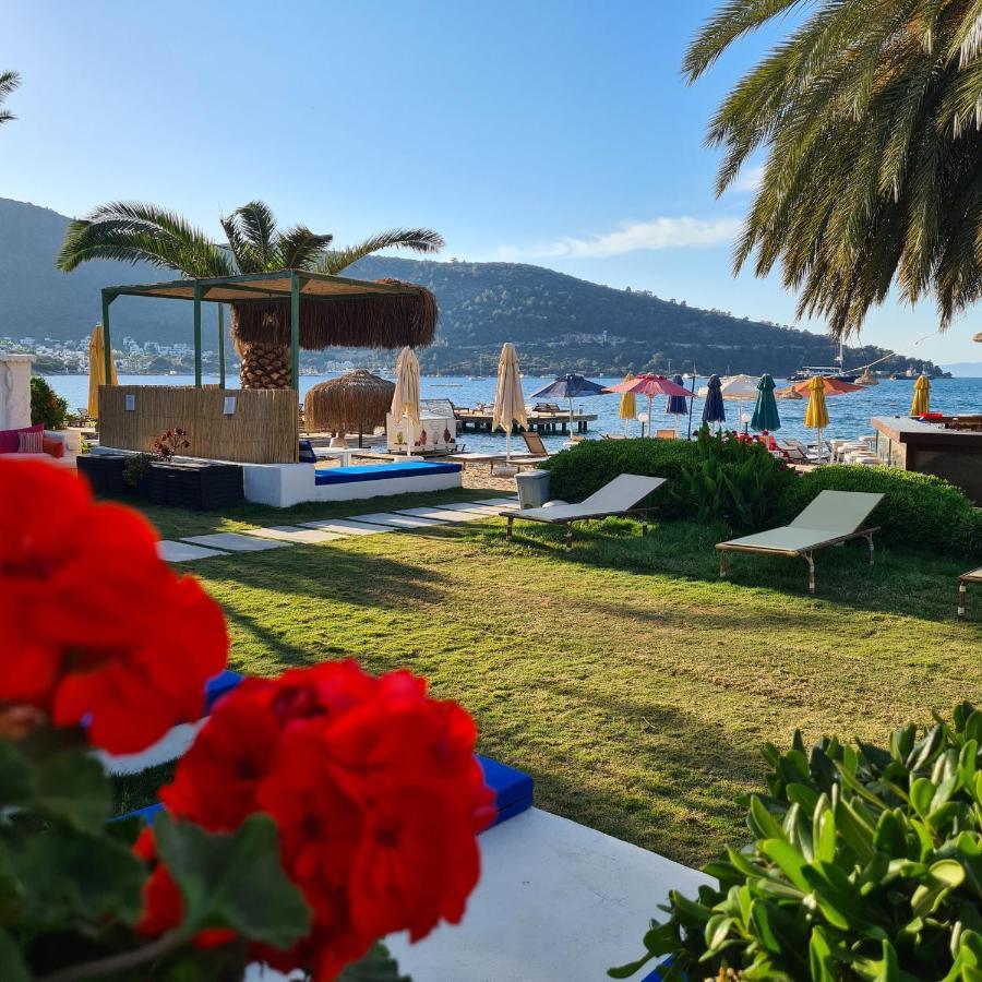 Hotel Toka Hotel&beach Club 3*